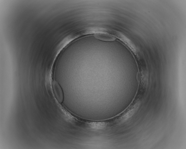 X0000112350893200908271230