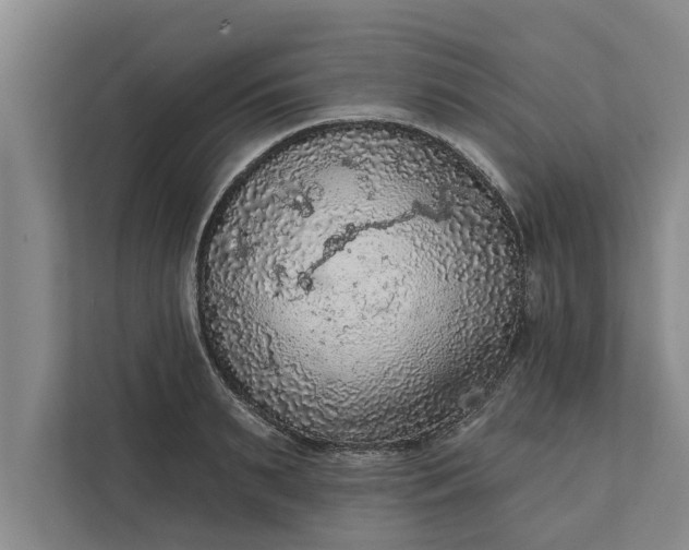 X0000112350895200908271230