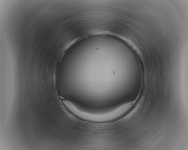 X0000112350897200908271230