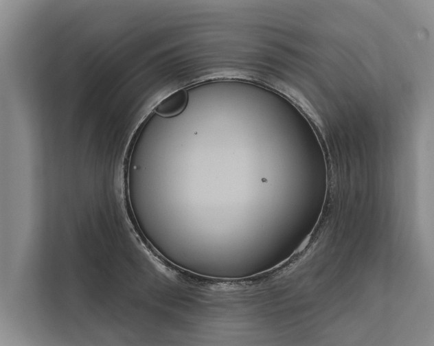 X0000112350898200908271230