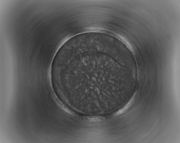 X0000112350899200908271230