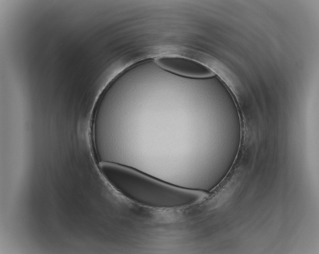 X0000112350901200908271230