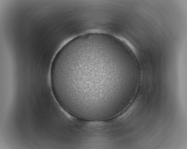 X0000112350902200908271230