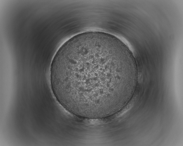 X0000112350903200908271230