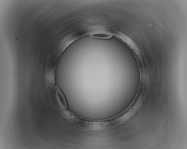 X0000112350905200908271230