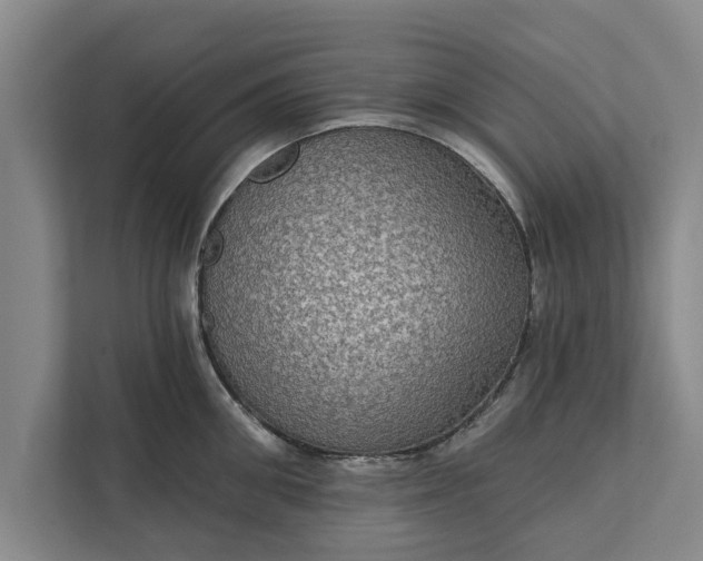 X0000112350906200908271230