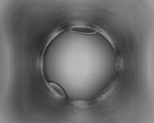 X0000112350909200908271230