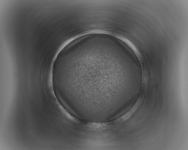 X0000112350910200908271230