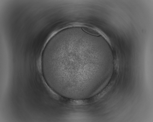 X0000112350911200908271230