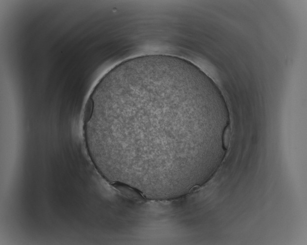 X0000112350912200908271230