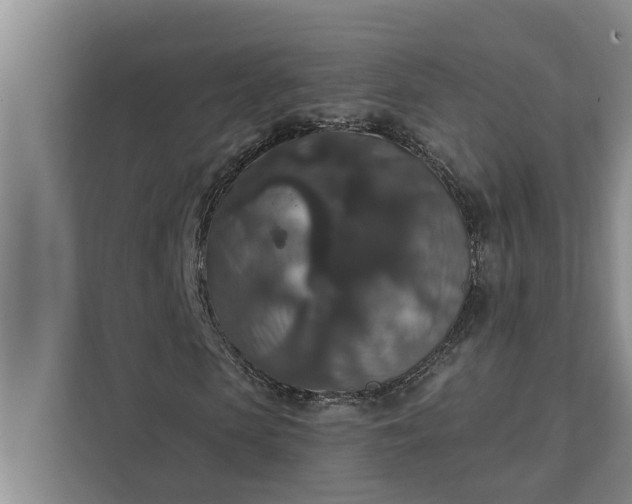 X0000112350913200908271230