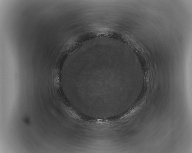 X0000112350916200908271230