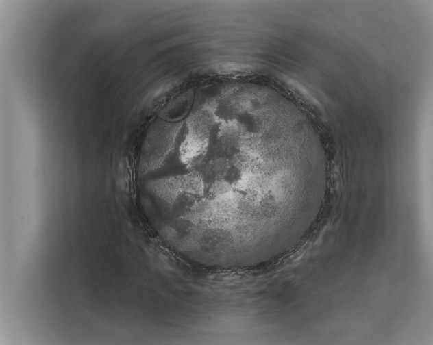 X0000112350917200908271230