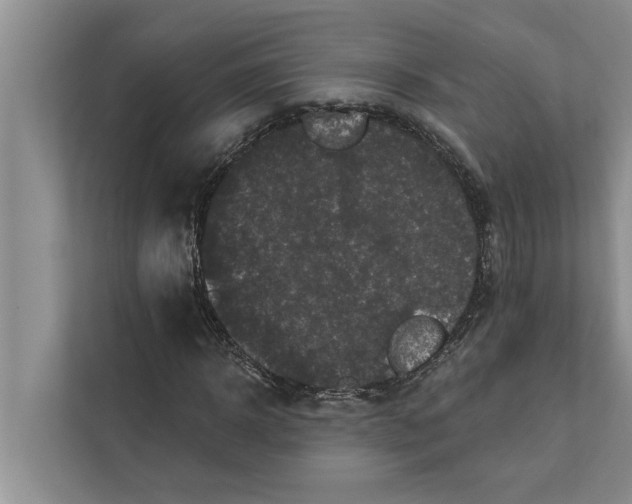 X0000112350918200908271230