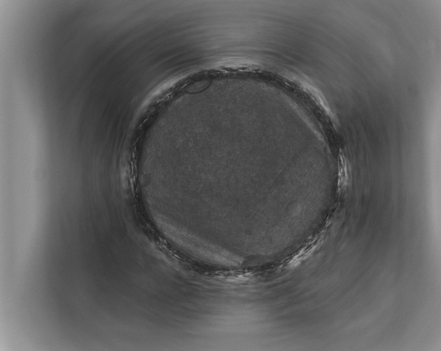 X0000112350920200908271230