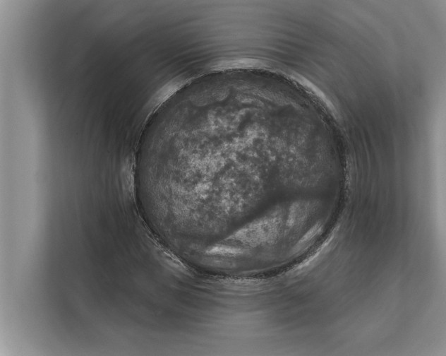 X0000112350921200908271230