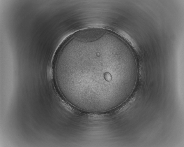 X0000112350924200908271230