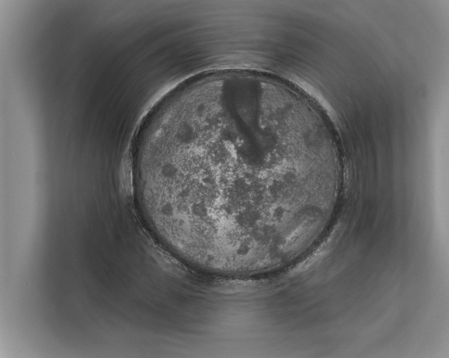 X0000112350925200908271230