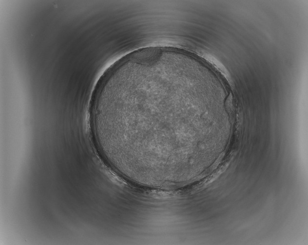 X0000112350928200908271230