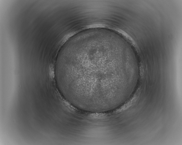 X0000112350929200908271230