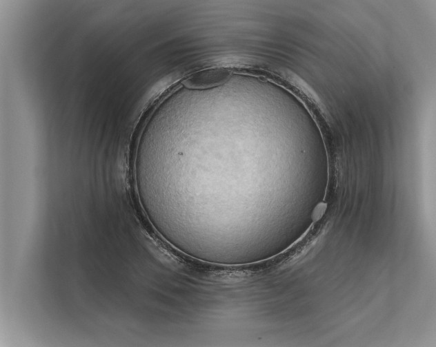 X0000112350930200908271230