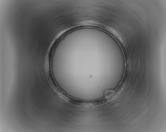 X0000112350931200908271230