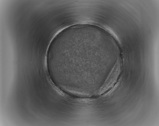 X0000112350932200908271230