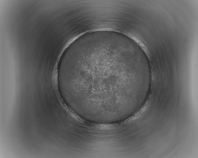 X0000112350933200908271230