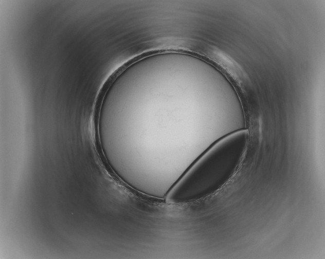 X0000112350936200908271230