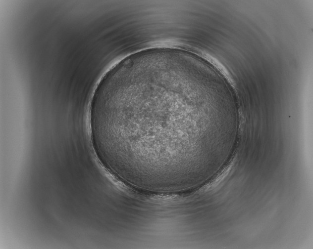 X0000112350939200908271230