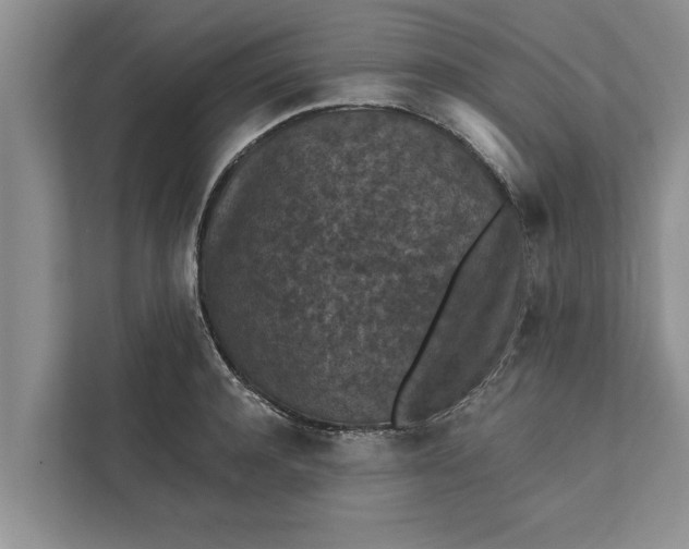 X0000112350944200908271230