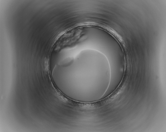 X0000112350945200908271230