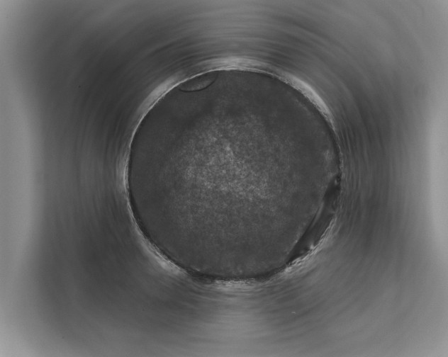 X0000112350946200908271230