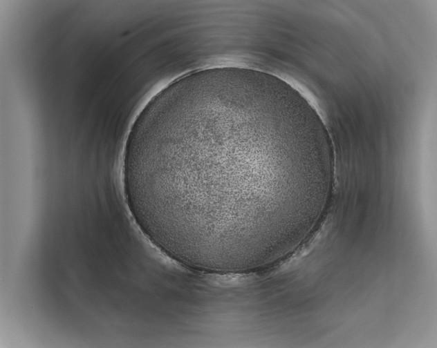 X0000112350949200908271230