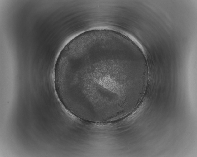 X0000112350951200908271230