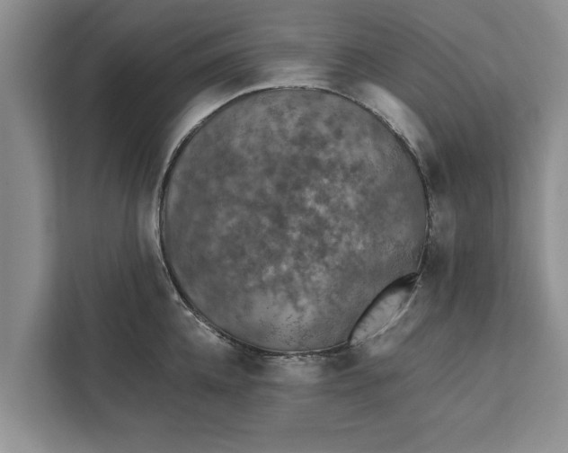 X0000112350952200908271230