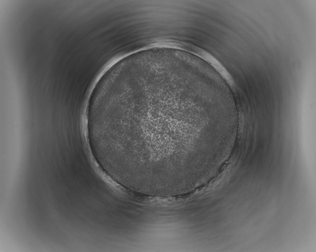 X0000112350955200908271230