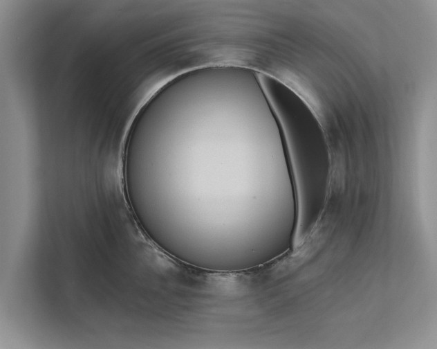 X0000112350956200908271230