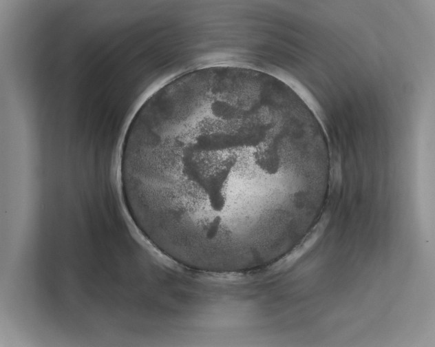 X0000112350957200908271230