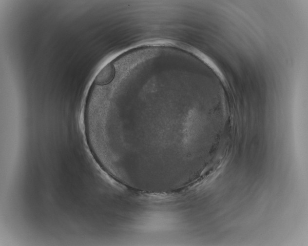 X0000112350959200908271230