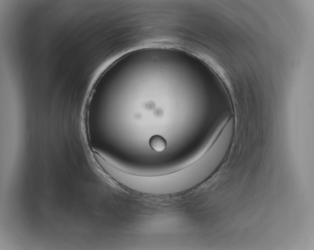 X0000112350960200908271230