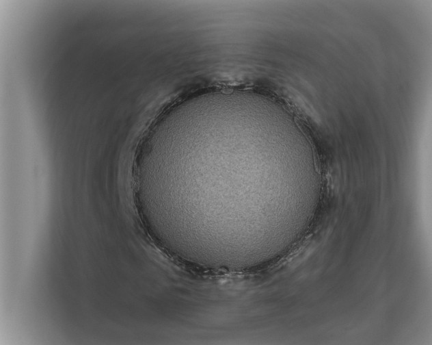 X0000112350961200908271230