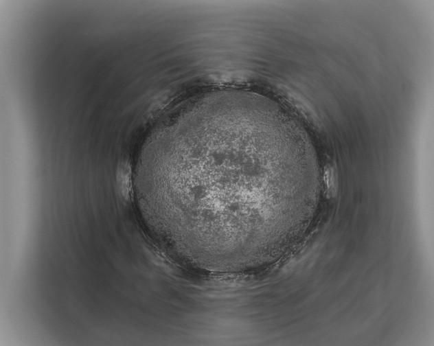 X0000112350963200908271230