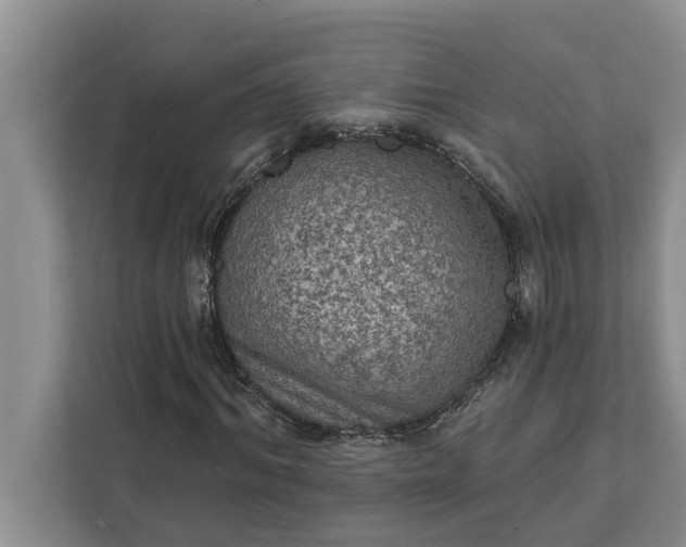 X0000112350964200908271230