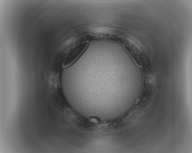 X0000112350965200908271230