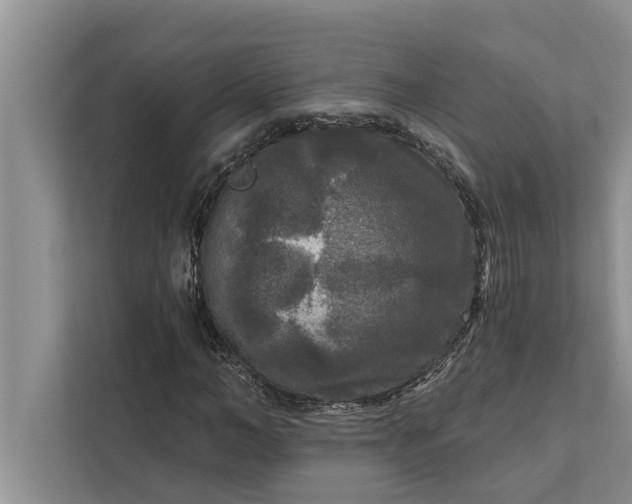 X0000112350966200908271230