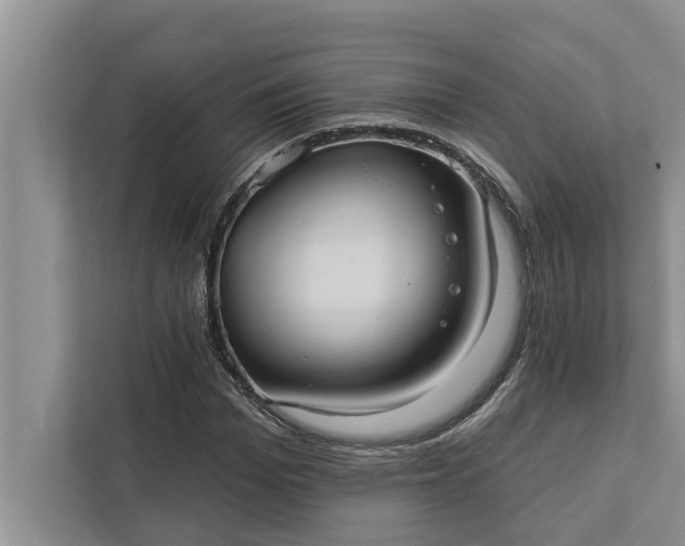 X0000112350969200908271229