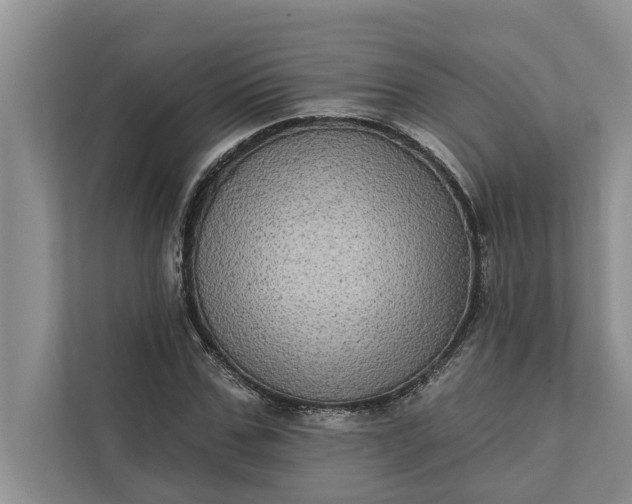 X0000112350971200908271229