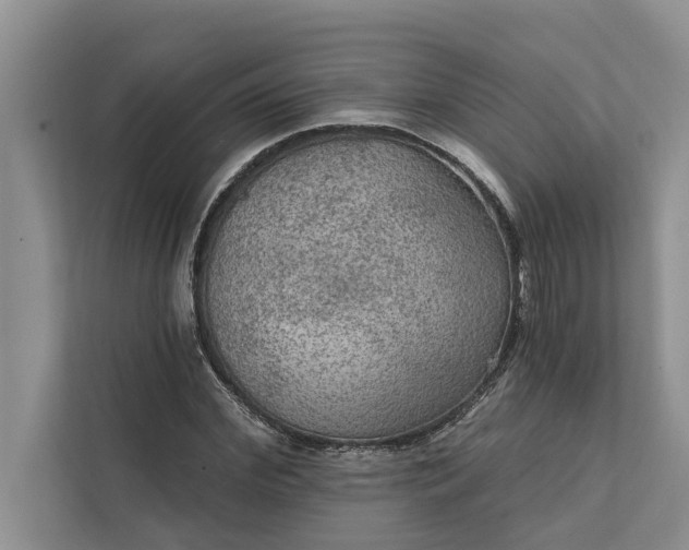 X0000112350972200908271229