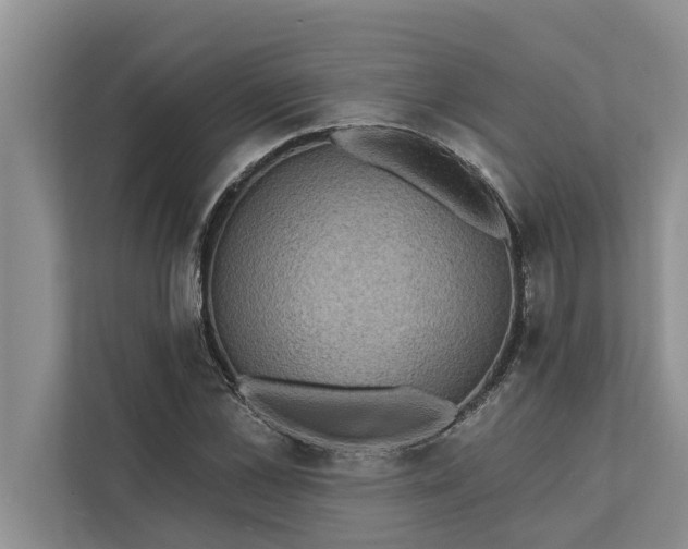 X0000112350973200908271229